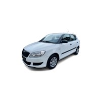 Skoda Fabia Roomster 6J Car picture