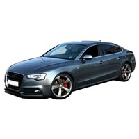 Audi Q5 8R araba resmi