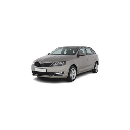 Vites Topuzu Skoda Rapid Deri körük