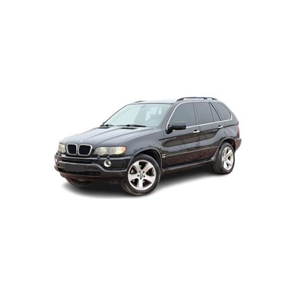 BMW X Reihe X5 E53 (1999-2006) immagine dell'auto