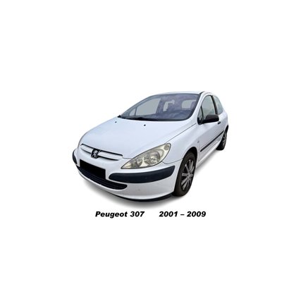 pommeau de levier Peugeot Peugeot 307 pommeau de levier Peugeot Peugeot 307